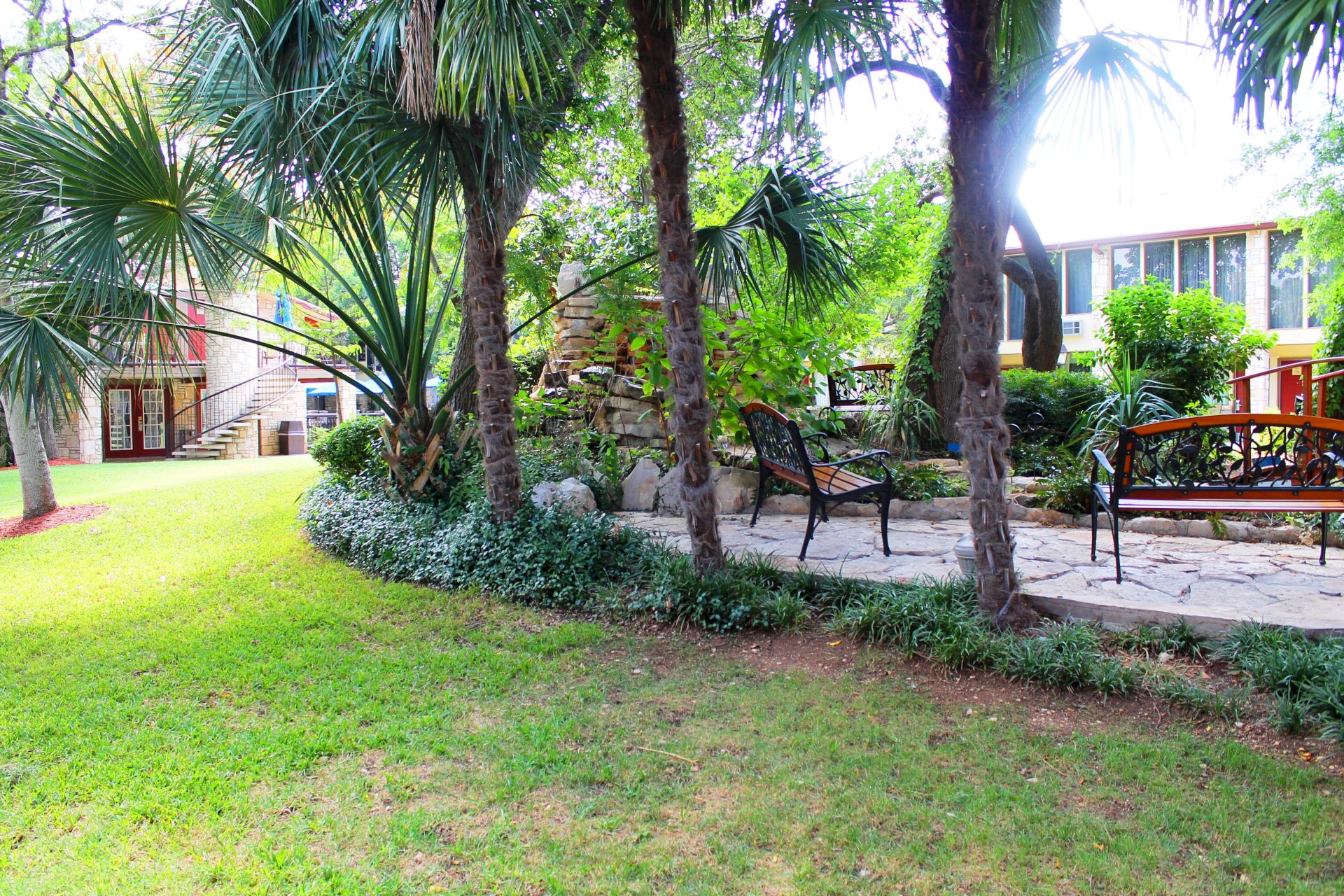 Sunny courtyard garden with towering palm trees, stone steps, and outdoor benches beside a colorful building.