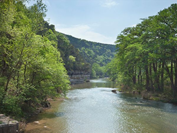 A scenic river flowing through a lush, green forest with hills in the background under a clear blue sky.