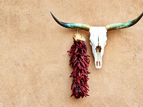 A cow skull with long horns and a bunch of red chili peppers hang on a textured wall, creating a rustic decoration.
