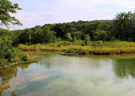 A serene river scene with lush green trees and vegetation along the banks, under a partly cloudy sky, reflecting in the calm water.