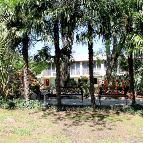 The image shows a view of a building partly obscured by several palm trees, with a fenced area and a grassy foreground.